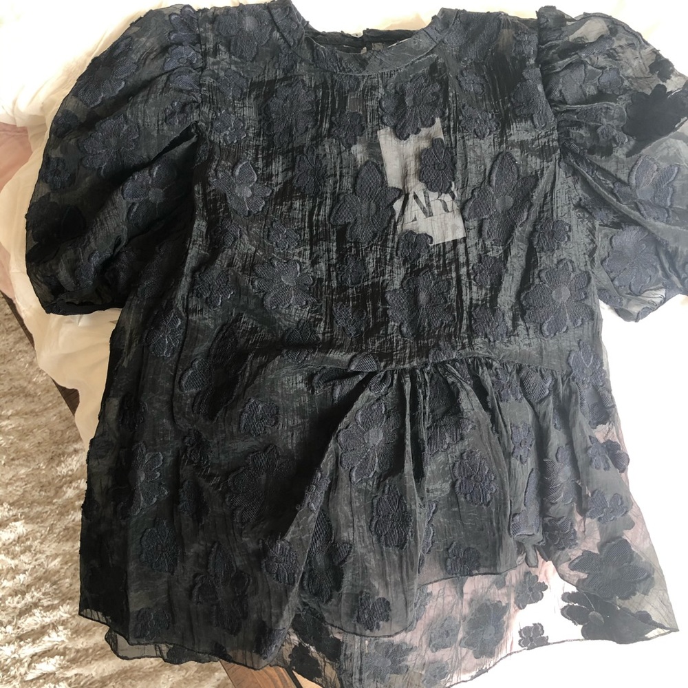 Zara Organza Blouse!